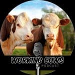 Working Cows - Regenerative Ranching to Maximize Profitability and Soil Health Working Cows - Regenerative Ranching to Maximize Profitability and Soil Health