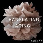 Translating Aging Translating Aging
